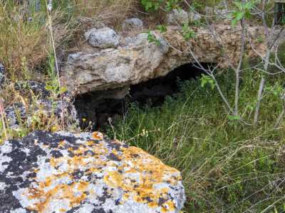 ...per raggiungere quello che rappresenta, grazie ai suoi 1500 metri quadri esplorati, il pi� grande sito sotterraneo di tutto il territorio barese: l�ipogeo del Seminario